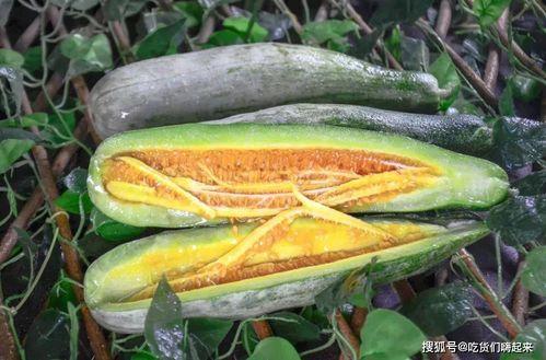 dy网红吃瓜群,揭秘娱乐圈幕后故事 第3张 dy网红吃瓜群,揭秘娱乐圈幕后故事 第3张